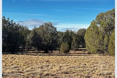 37916-A W Howling Coyote Road, Seligman, AZ 86337 - Photo 1