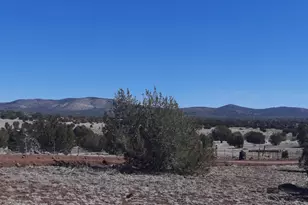 1358 W Greenhorn Rd, Seligman, AZ 86337 - Photo 1