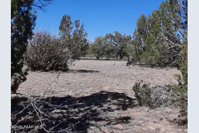 Lot 265 N Rocky Top Road, Seligman, AZ 86337 - Photo 1