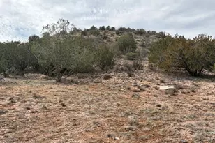 55410 Exeter Ln, Seligman, AZ 86337 - Photo 1