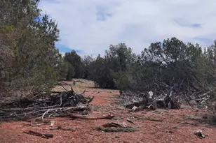54255 N Castano Rd, Seligman, AZ 86337 - Photo 1