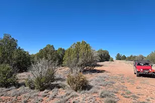 55688 N Latigo Rd, Seligman, AZ 86337 - Photo 1