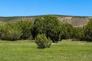 316 Forest Line Cir, Williams, AZ 86046 - Photo 1