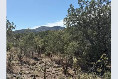 Tbd Spotted Dog Trail, Chino Valley, AZ 86323 - Photo 1