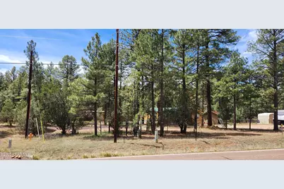 2890 Pine Rim Road, Overgaard, AZ 85933 - Photo 1