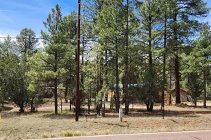 2890 Pine Rim Rd, Overgaard, AZ 85933 - Photo 1