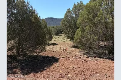 Lot 851 Fort Rock Road, Seligman, AZ 86337 - Photo 1