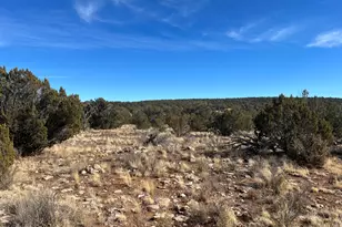 000 N Rolling Hills Ln, Seligman, AZ 86337 - Photo 1