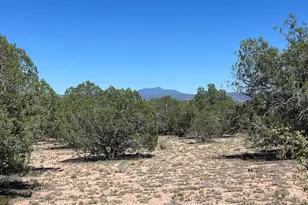 202 Cooks Trail, Ash Fork, AZ 86320 - Photo 1