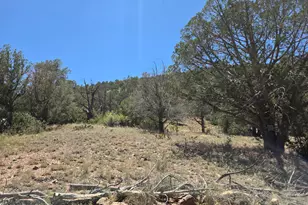 Lot 124 S Arizona Rd, Ash Fork, AZ 86320 - Photo 1