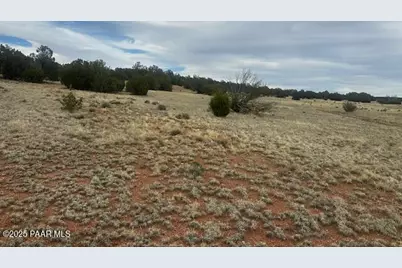 Lot 382Ne Gable Road, Seligman, AZ 86337 - Photo 1