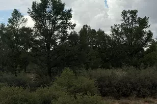5915 W Maddie Ln, Prescott, AZ 86305 - Photo 1