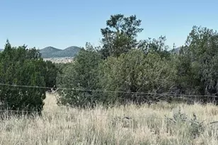 27145 W Fort Rock Rd, Seligman, AZ 86337 - Photo 1