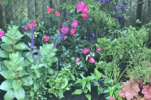 1715 J St, Wall Township, NJ 07719 - Photo 13