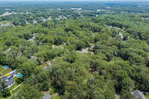 3 Cypress Ave, Jackson, NJ 08527 - Photo 29