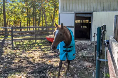 417 Basso Street, Jackson, NJ 08527 - Photo 9