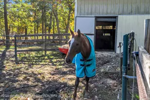 417 Basso St, Jackson, NJ 08527 - Photo 9