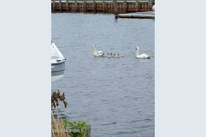 9 S Hollywood Boulevard, Forked River, NJ 08731 - Photo 3