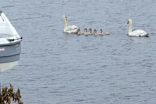 9 S Hollywood Blvd, Forked River, NJ 08731 - Photo 3