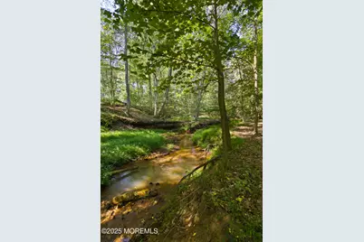 106 Holmes Mill Road, Cream Ridge, NJ 08514 - Photo 45