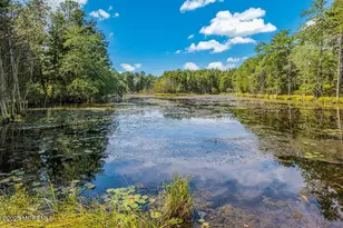 43 Martin Dr, Whiting, NJ 08759 - Photo 29