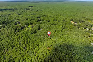 739 Nugentown Rd, Little Egg Harbor, NJ 08087 - Photo 5