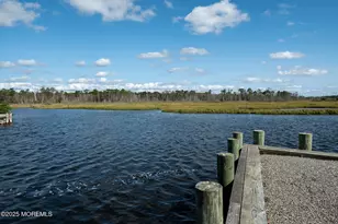 709 Richmond Dr, Forked River, NJ 08731 - Photo 79