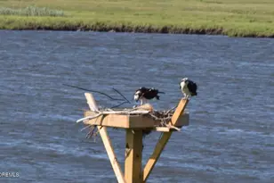 202 S Creek Dr, Eagleswood Township, NJ 08092 - Photo 43