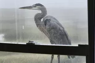 202 S Creek Dr, Eagleswood Township, NJ 08092 - Photo 57