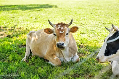 537 Chesterfield Arneytown Road, Chesterfield, NJ 08515 - Photo 65