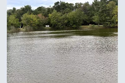 29 Oakham, Manchester Township, NJ 08759 - Photo 43