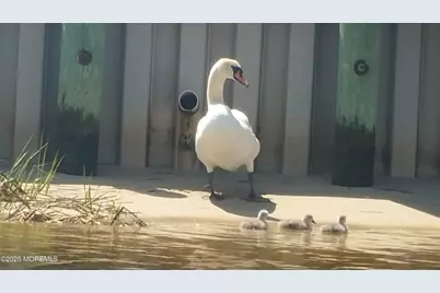 1159 Radio Road #7, Little Egg Harbor, NJ 08087 - Photo 39