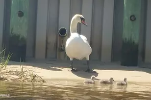 1159 Radio Rd, Little Egg Harbor, NJ 08087 - Photo 39