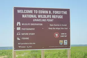 1159 Radio Rd, Little Egg Harbor, NJ 08087 - Photo 31