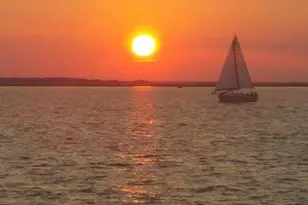 1159 Radio Rd, Little Egg Harbor, NJ 08087 - Photo 29