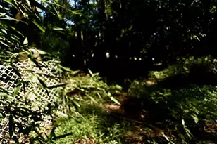 80 Jackson St, Freehold, NJ 07728 - Photo 17