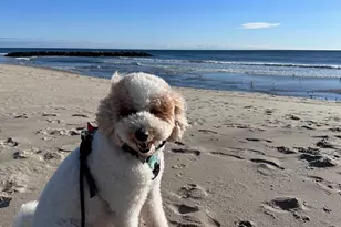 316 Park Pl Ave, Bradley Beach, NJ 07720 - Photo 37