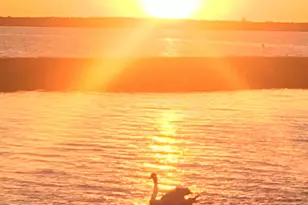 28 Harborside Dr E, Ortley Beach, NJ 08751 - Photo 17