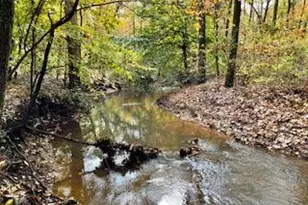 14 Iron Bridge Rd, Chesterfield, NJ 08515 - Photo 53