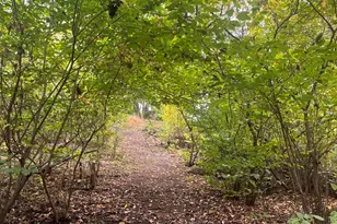 14 Iron Bridge Rd, Chesterfield, NJ 08515 - Photo 49