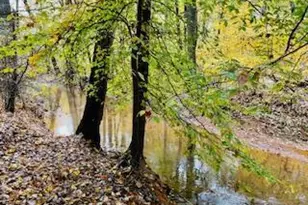 14 Iron Bridge Rd, Chesterfield, NJ 08515 - Photo 51