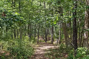 102 Ash Rd, Manahawkin, NJ 08050 - Photo 49