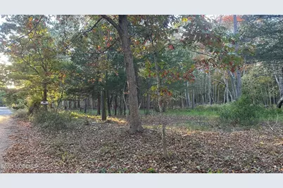 1076 S Main Street, West Creek, NJ 08092 - Photo 3