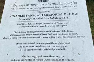 243 Woodcrest Rd, Oakhurst, NJ 07755 - Photo 35