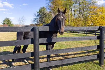 193 Burlington Path Road, Cream Ridge, NJ 08514 - Photo 51