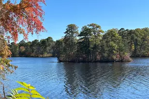 1001 N Lakeshore Dr, Browns Mills, NJ 08015 - Photo 3