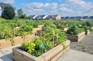 83 Fillmore Dr, Monroe Township, NJ 08831 - Photo 51