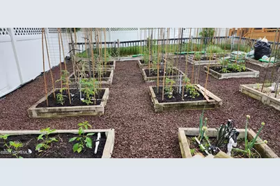 334 Mackenzie Drive, Jackson, NJ 08527 - Photo 57