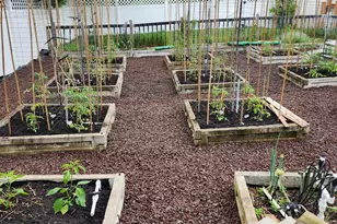 334 MacKenzie Dr, Jackson, NJ 08527 - Photo 57