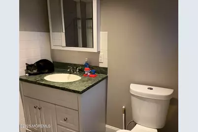 11 Chestnut Ridge Road, Holmdel, NJ 07733 - Photo 27